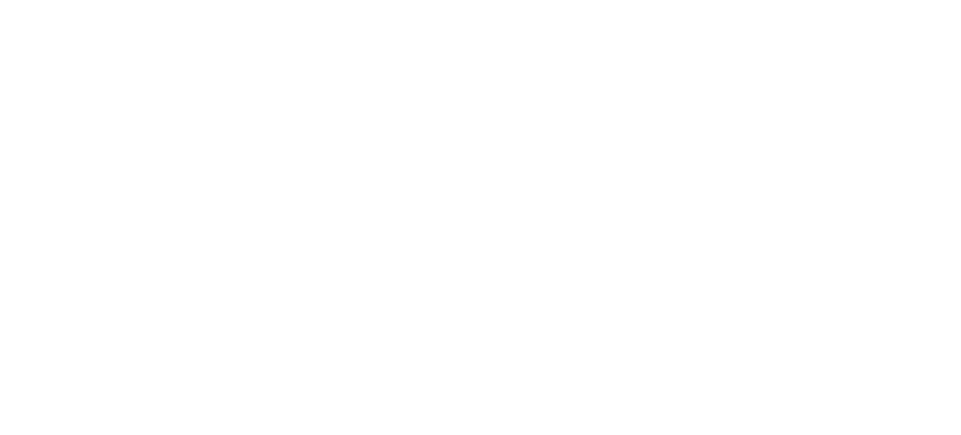 IDS