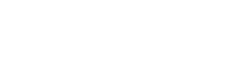 Spark Sales Agency